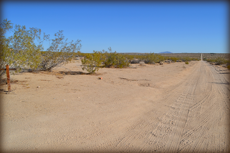 Joshua Tree Land For Sale